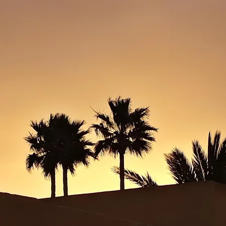 Casa Shelley Cotillo